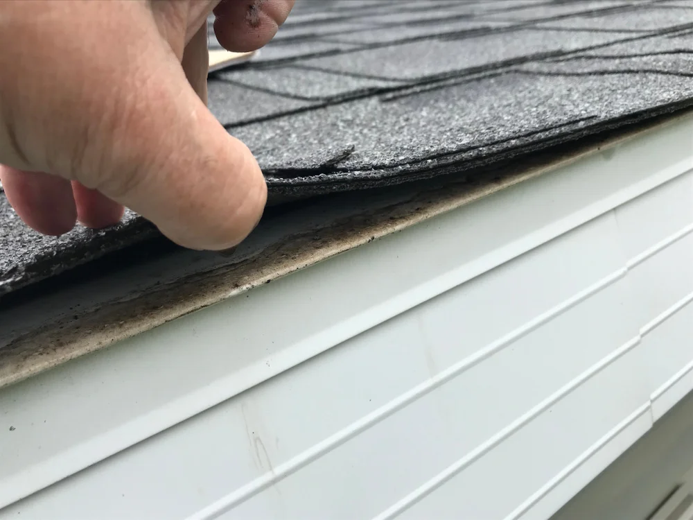 Completed roof inspection installation in the Twin Cities - Exteriors Plus Roofing